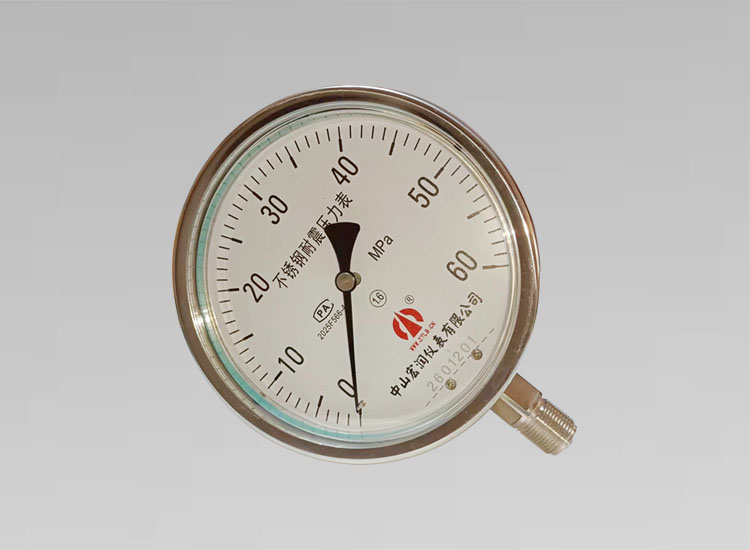 全不锈钢耐震压力表/YNBF150/60MPa/径向M20*1.5